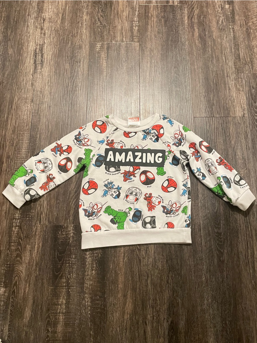 Spidey And His Amazing Friends Sweatshirt 4T